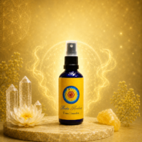 Divine Connection Spray - Acala Healing